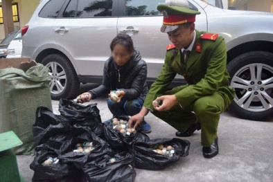 Tin tức pháp luật mới nhất hôm nay ngày 14/1