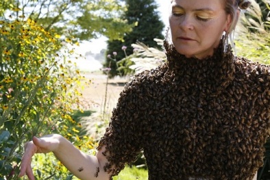 Rùng mình với cô gái ngực trần 'mặc' 12.000 con ong