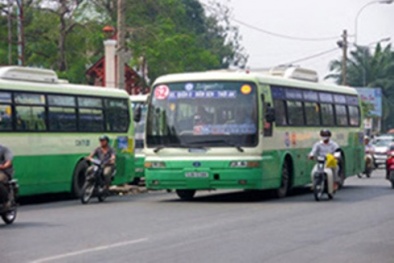 TP.HCM tăng 300 chuyến xe buýt trong dịp tết Bính Thân 2016