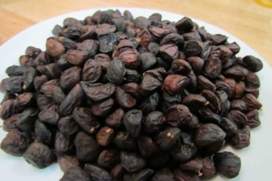 Săn hạt dổi rừng 4 triệu/kg: Nhà giàu 'dậy hương' ngày Tết