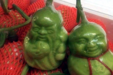 Tiết lộ sốc về dưa lê Thần tài Trung Quốc