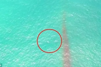 UFO rơi xuống biển Thái Bình Dương?