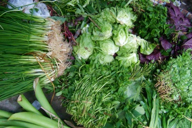 Phụ huynh lo 'sốt vó' vụ tuồn rau bẩn vào trường tiểu học