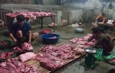 Bẩn như lò giết mổ lợn tự phát