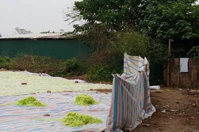 Làm mứt sát nhà vệ sinh công cộng bốc mùi xú uế ở Xuân Đỉnh, Hà Nội