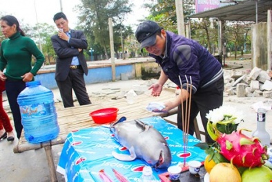 Tổ chức lễ an táng bên biển cho xác cá 'thần' mang may mắn dạt vào bờ 