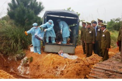 1,5 tấn tim lợn, cánh gà Mỹ hết hạn vẫn tìm đường len lỏi vào nhà hàng