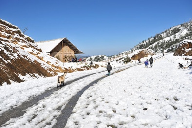 Miền Bắc đón không khí lạnh mạnh nhất từ đầu Đông, Sapa có thể có tuyết