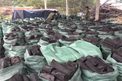 Than củi Việt Nam rộng đường xuất ngoại vì Nhật, Hàn chuộng món nướng