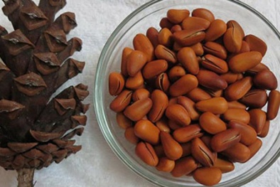 Thị trường Tết 2016: Hạt khô rừng ‘hút’ khách hạng sang