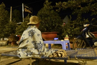 Thức bạc mặt canh mai Tết