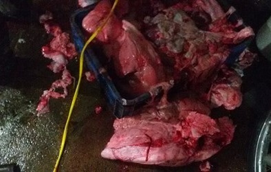 Trôi nổi thịt lợn không nguồn gốc