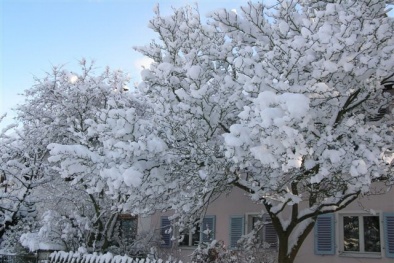 Dự báo thời tiết ngày mai 24/01/2016: Vùng núi có thể xảy ra băng đá và mưa tuyết 