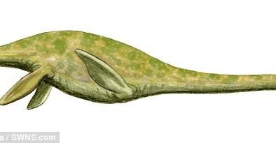 Phát hoảng với quái vật 'xà đầu long' thời tiền sử có cổ dài gần 3 mét