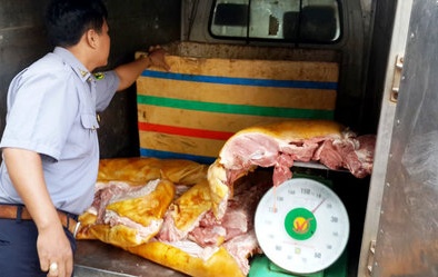 Xịt sơn vào lông heo để giả làm thịt heo rừng lai