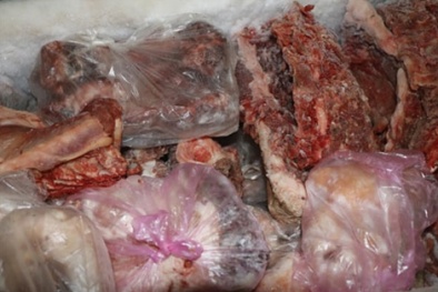 Bắt giữ hàng tấn xương động vật nhiễm khuẩn sắp ra thị trường 