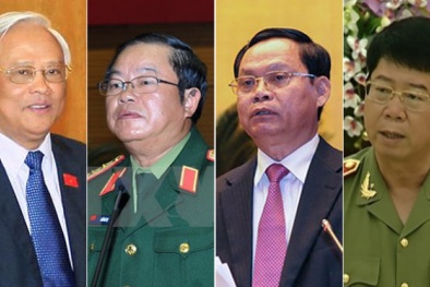 Giới thiệu 4 trường hợp ủy viên trung ương 'đặc biệt'