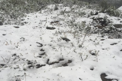 Hà Nội rét kỷ lục trong 39 năm, các tỉnh vùng núi tuyết rơi trắng xóa