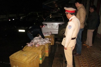 Hàng trăm cân thịt chó ướp lạnh không kiểm dịch nhét trong xe khách 