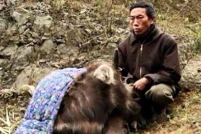 Nông dân lao đao vì đợt rét kỷ lục 40 năm mới xuất hiện một lần