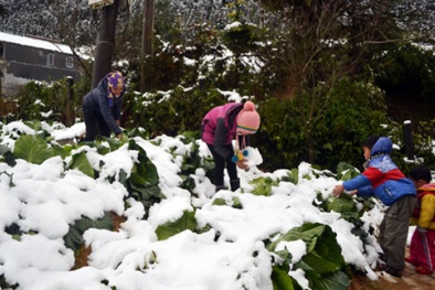 Dự báo thời tiết: Rét đậm, rét hại kéo dài qua đầu tháng 2