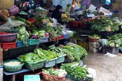 Rét đậm kéo dài khiến rau xanh tăng giá đột biến