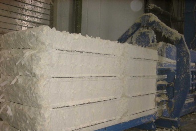 Ứng dụng công nghệ sinh học trong sản xuất bột giấy