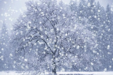 Dự báo thời tiết ngày 28/01/2016: Trời rét đậm 