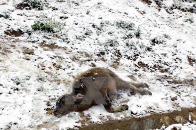 Nhẹ nhõm vì đợt không khí lạnh 'khủng' ở miền Bắc sẽ suy yếu dần