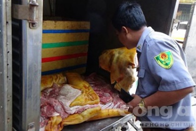 Nhuộm màu thịt hôi để ‘nhái’ thịt heo rừng