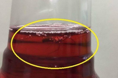 Nghi vấn nước ngọt Sting chứa xác nhện bên trong