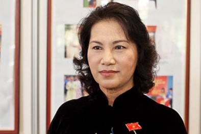 Chân dung các Ủy viên Bộ Chính trị khóa XII cùng sinh năm 1954