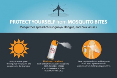Cảnh báo 22 nước có virut zika phụ nữ mang thai nên tránh đi du lịch