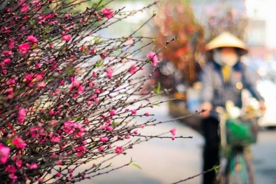 Dự báo thời tiết ngày 30/01/2016: Trưa, chiều trời hửng nắng 