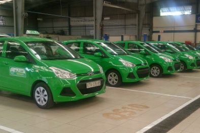 TP Hồ Chí Minh sa thải 642 tài xế taxi