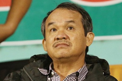 Vợ con bầu Đức không có cổ phần tại Hoàng Anh Gia Lai