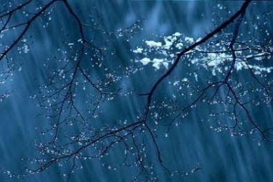 Dự báo thời tiết ngày 31/01/2016: Trời rét, có mưa nhỏ, mưa phùn 