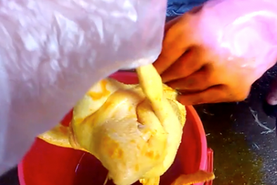 Bị phạt 24 triệu đồng vì dùng hóa chất để nhuộm gà