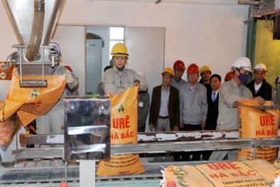 Phân đạm và Hóa chất Hà Bắc chủ động nâng cao năng suất chất lượng