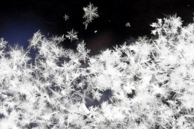 Dự báo thời tiết ngày 02/02/2016: Trời rét đậm, vùng núi khả năng có băng đá 