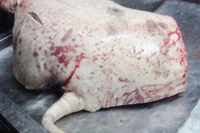 Nhẫn tâm đưa heo bệnh, heo chết vào chợ tiêu thụ