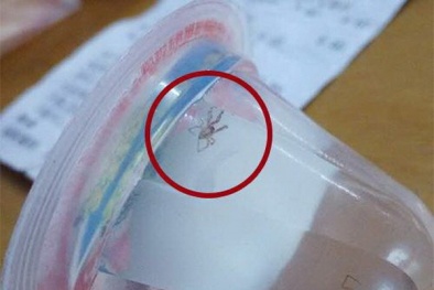 Phát hiện con nhện trong hộp thạch, khách hàng đòi 3 tỷ