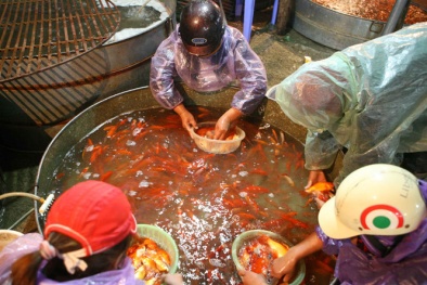 Người buôn phấn khởi vì được giá rau xanh, cá chép cúng ông Táo