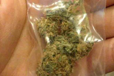 Chính thức đưa 'cỏ Mỹ' vào danh mục các chất ma túy