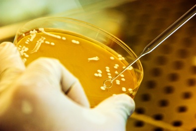 Chất lượng Việt Nam kiểm nghiệm thực phẩm trên thị trường tìm 'độc'