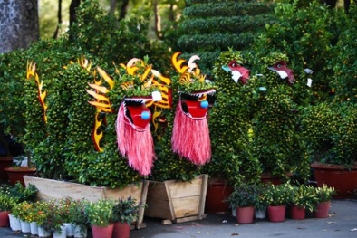 Đón xuân Bính Thân với kiểng hình thú đẹp-độc-lạ