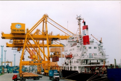 Phương án giúp cảng Hải Phòng tăng năng suất tới 22,5% trong năm 2015