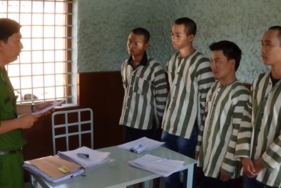 Tin tức pháp luật mới nhất 24h hôm nay ngày 3/2