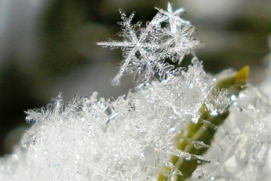 Dự báo thời tiết ngày 5/2/2016: Trời rét đậm, có khả năng xảy ra băng đá