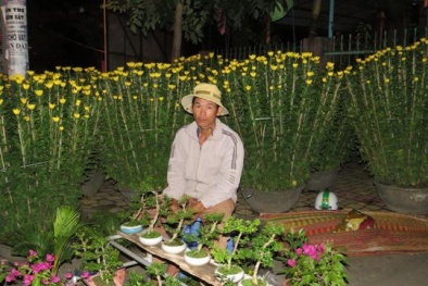 Câu nói khiến dân bán hoa Tết 'đau lòng'